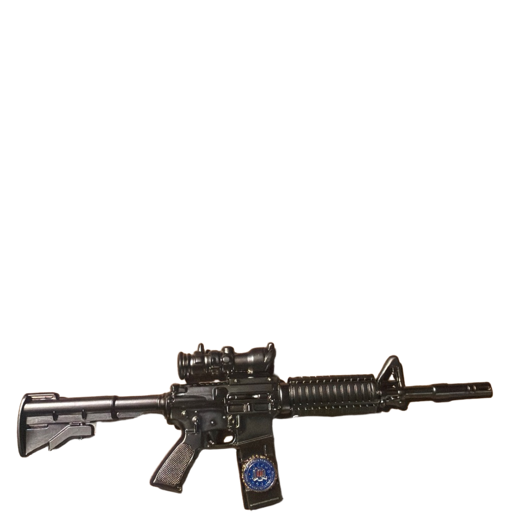 FBI Ar 15 — back