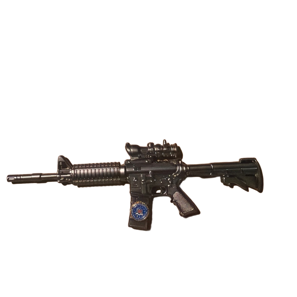 FBI Ar 15 — front