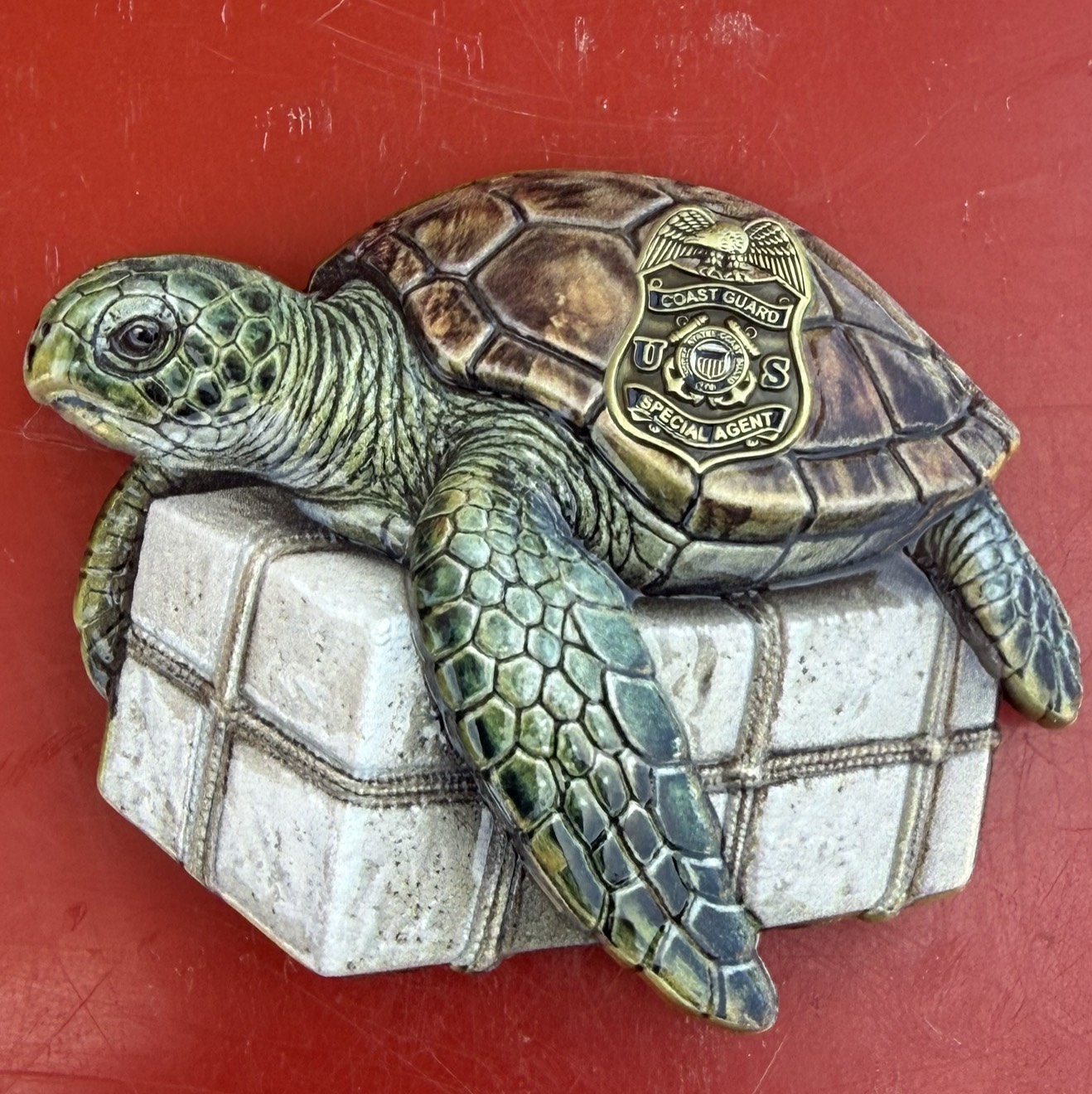 US Coast Guard Cocaine Turtles — back