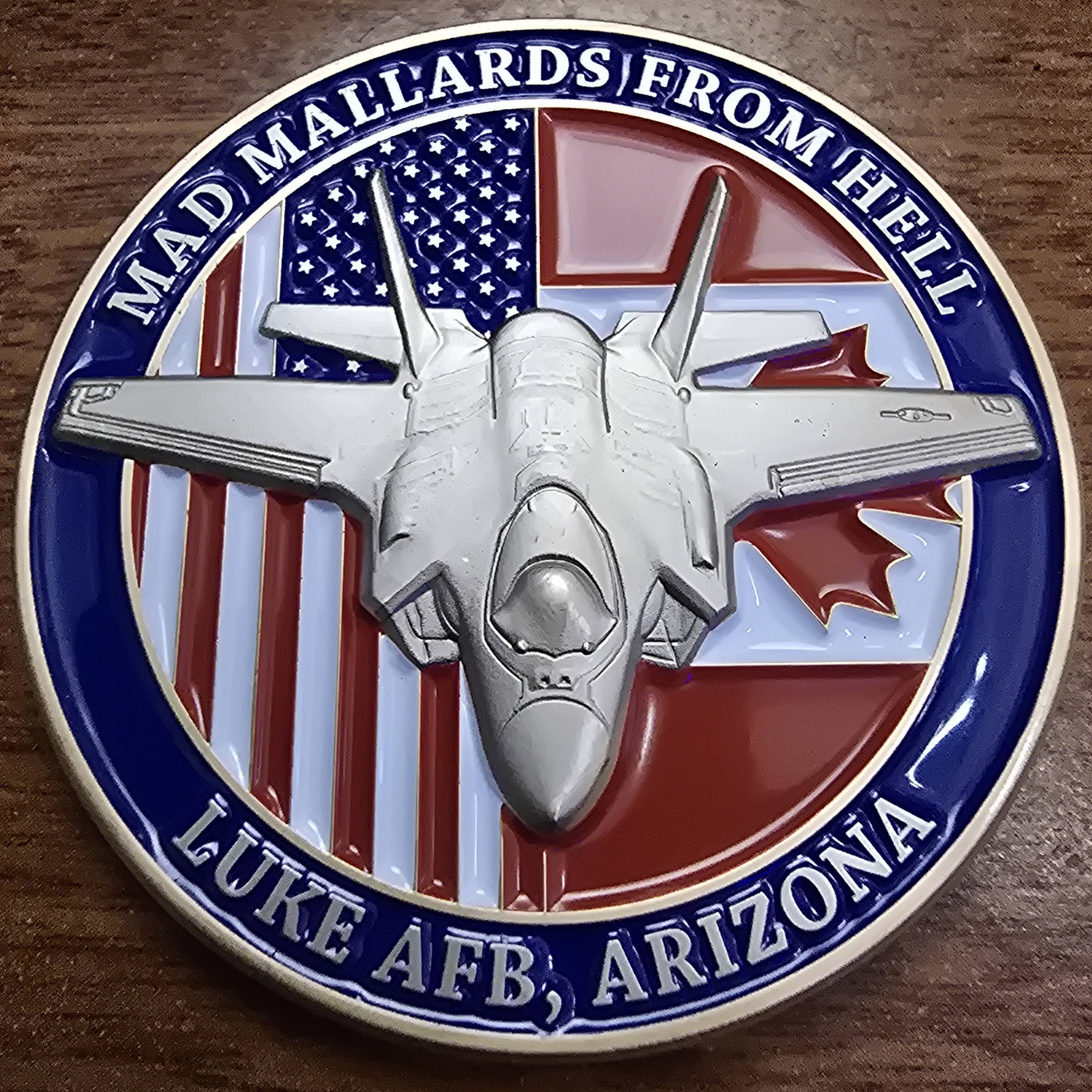 309th Fighter Squadron Commanders Coin — back