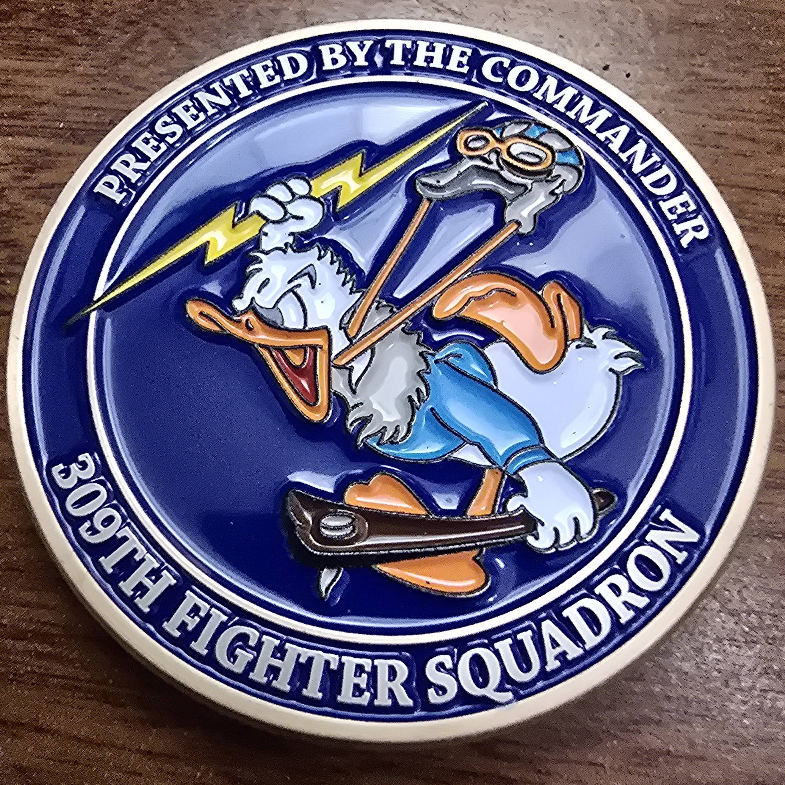 309th Fighter Squadron Commanders Coin — front