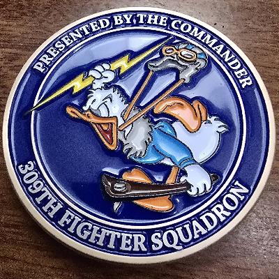 309th Fighter Squadron Commanders Coin