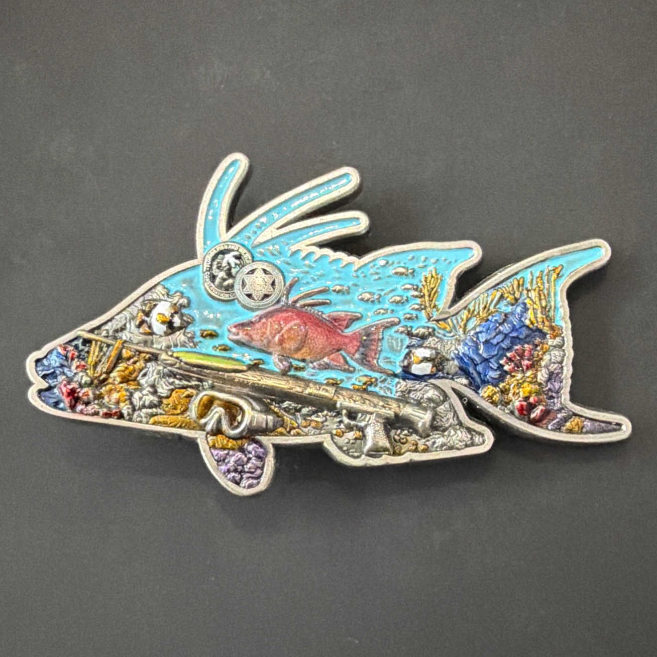 Hogfish — front