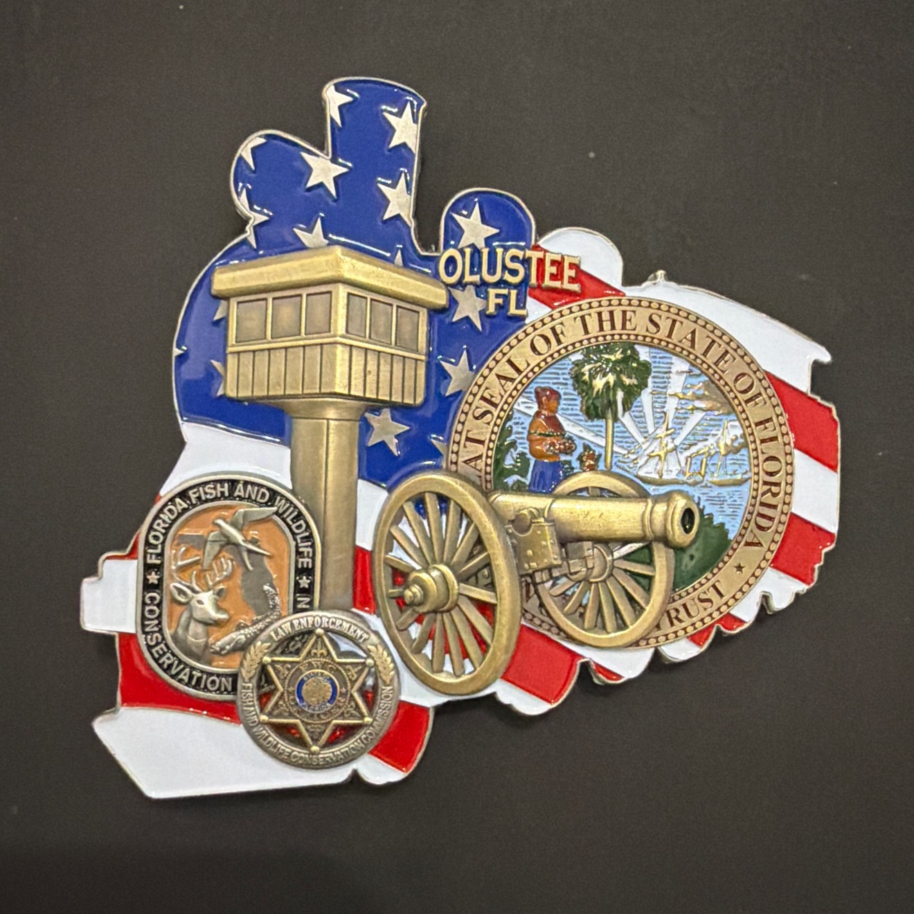 FWC Silver Train — back