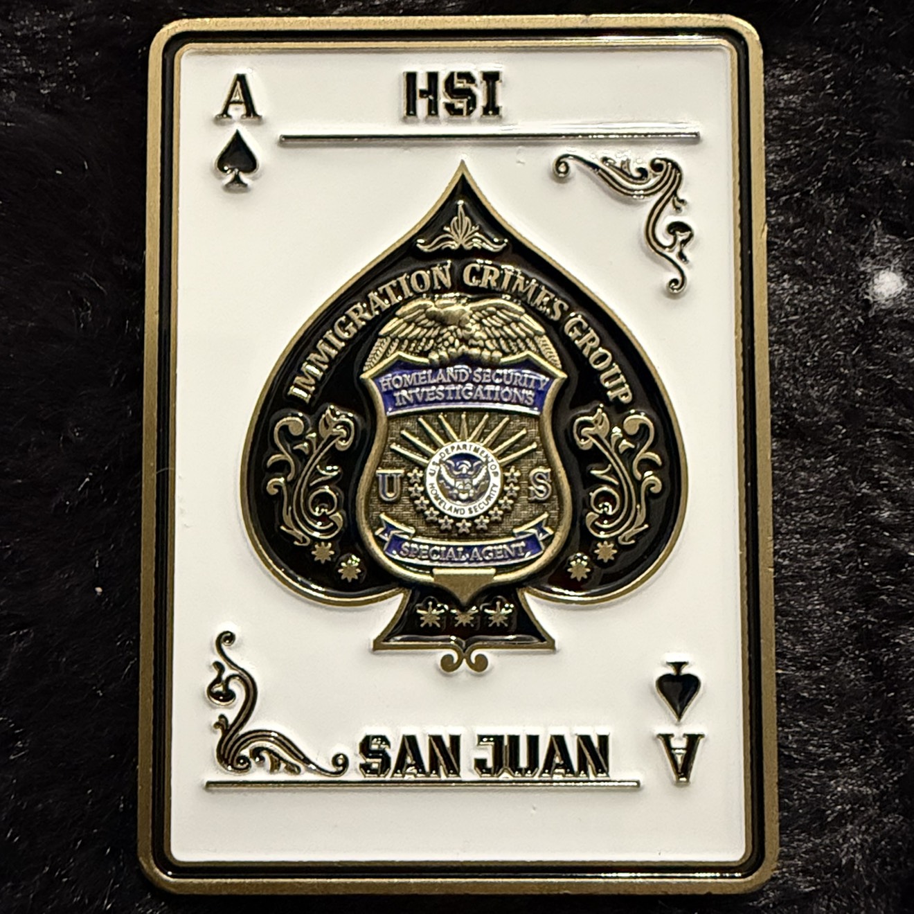 HSI San Juan Field Office Jack of All Trades — back