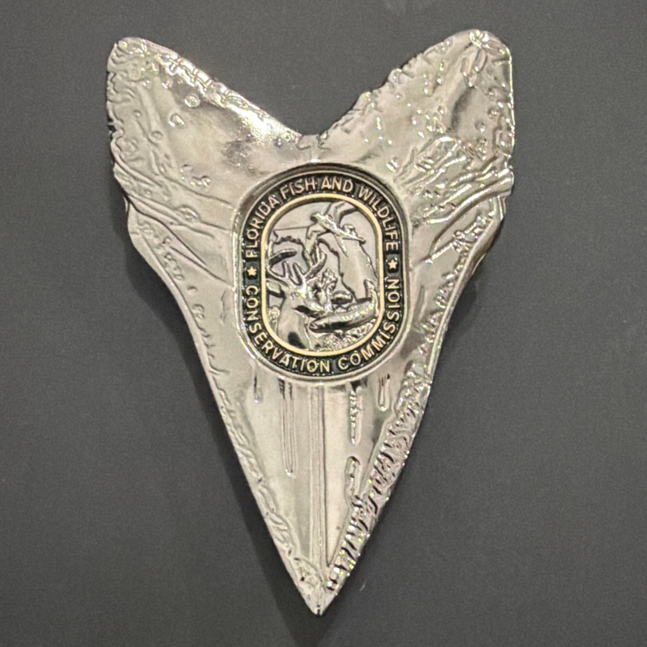 FWC Tooth — back