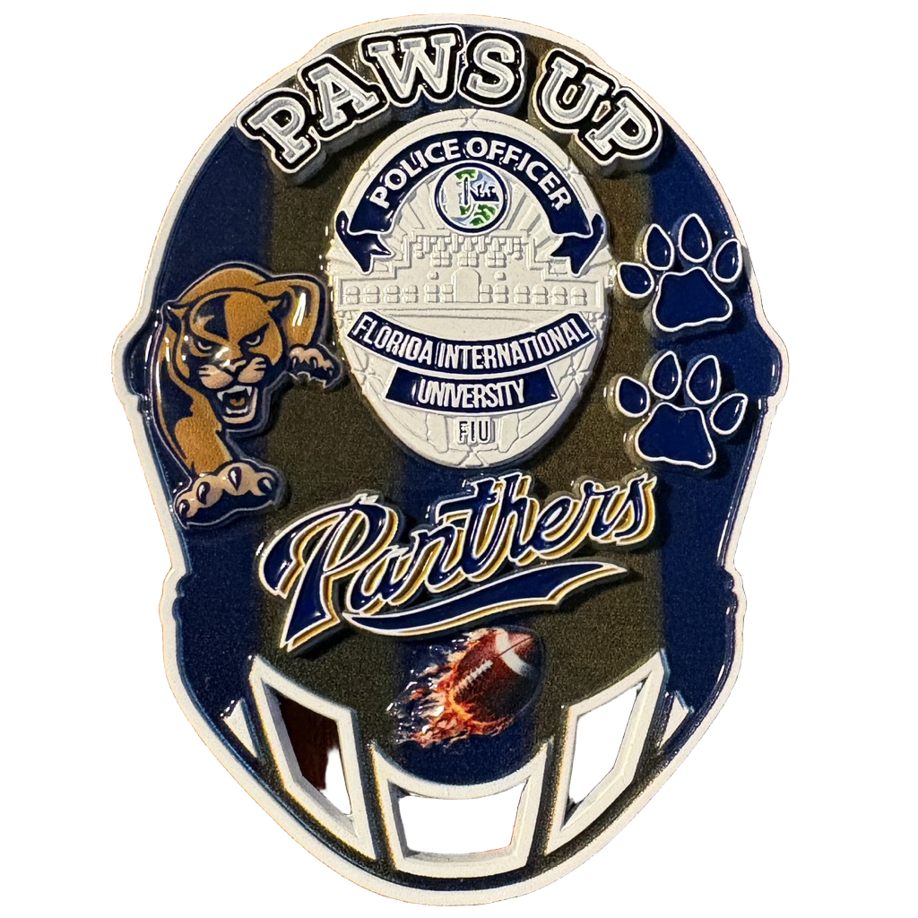 FIU Helmet — back