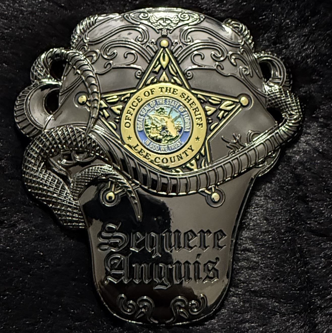 Lee County Sheriff’s Office Tactical Narcotics Team (Black Variant) — back