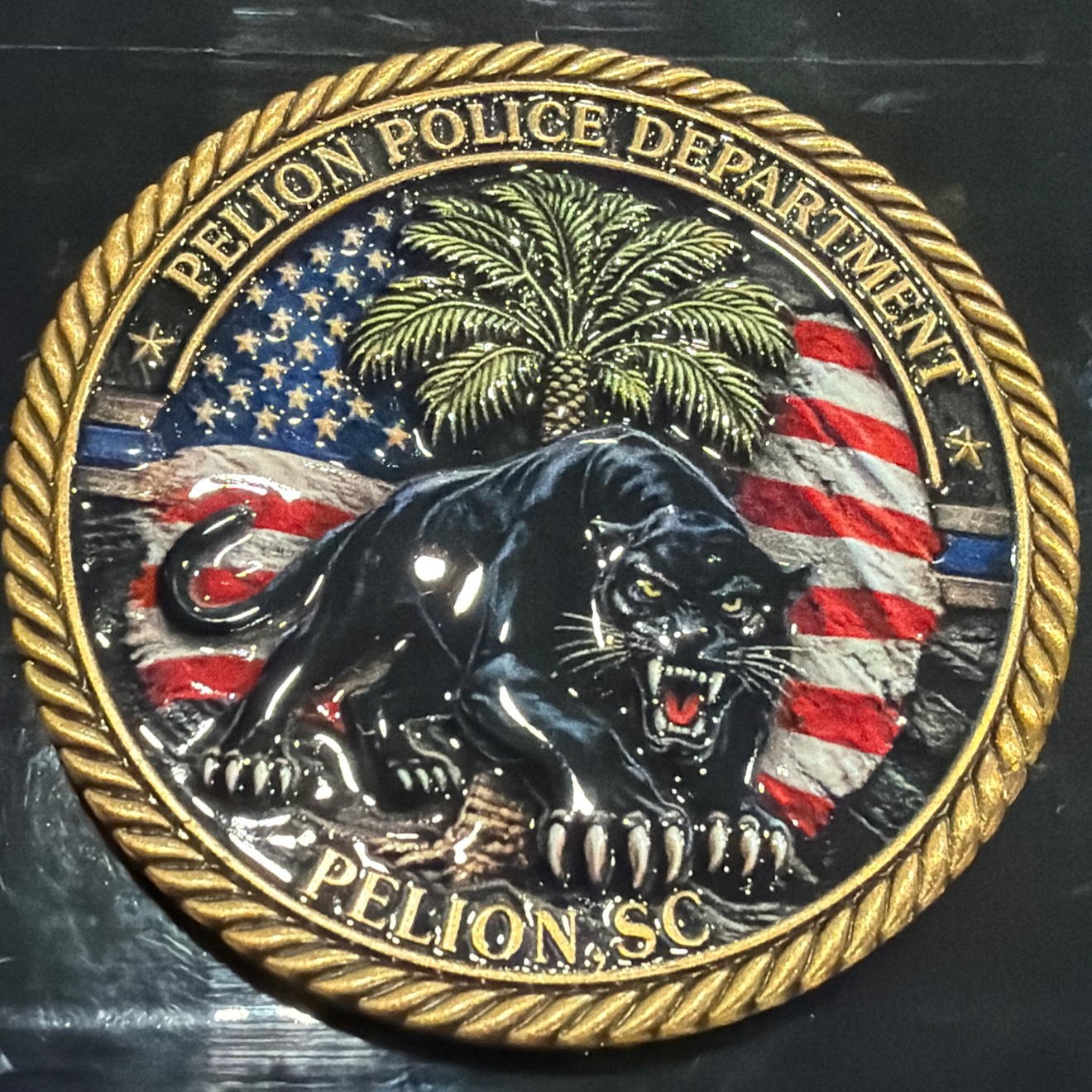 Pelion Police Department - Chief Chris Garner Coin — back