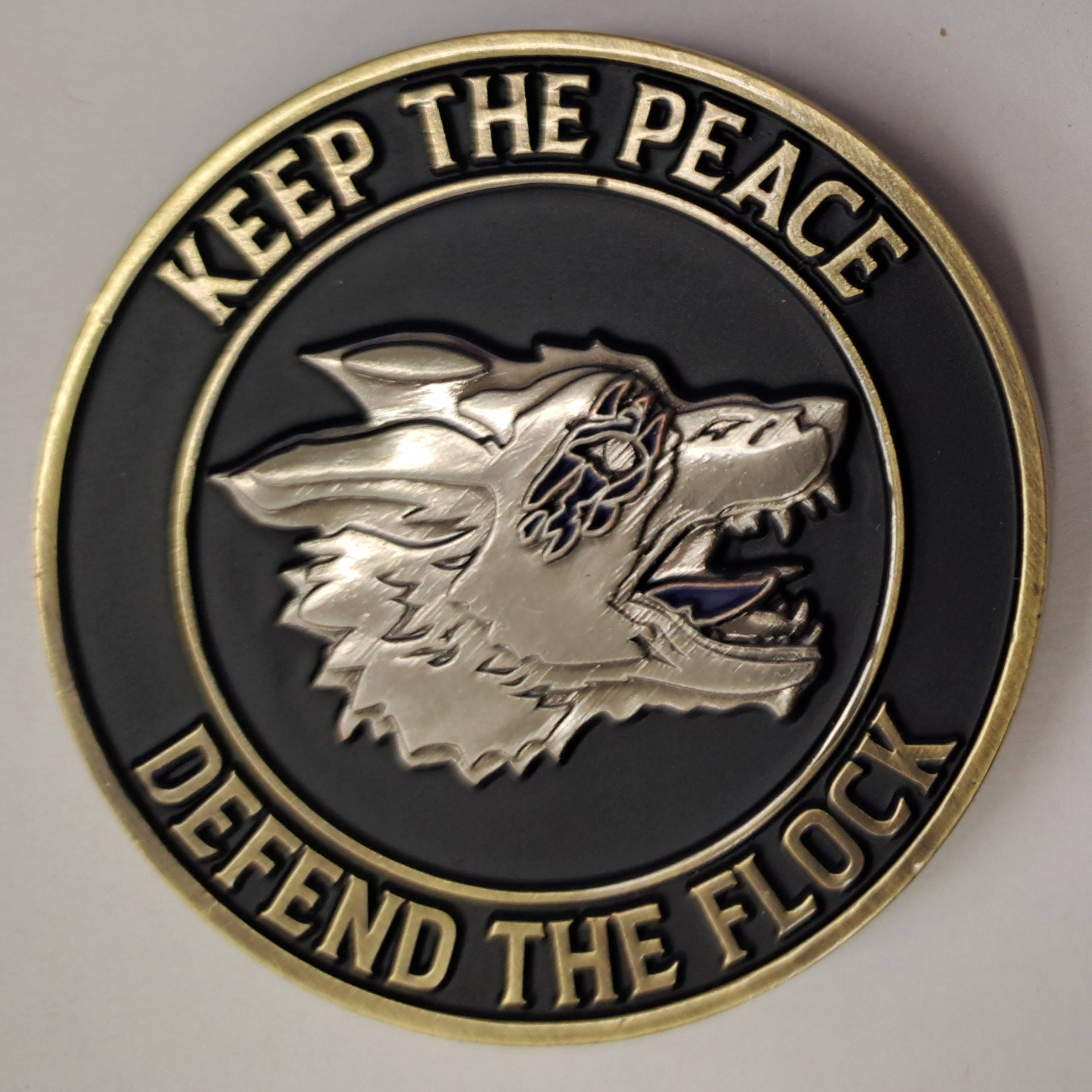 Defend the Flock — back