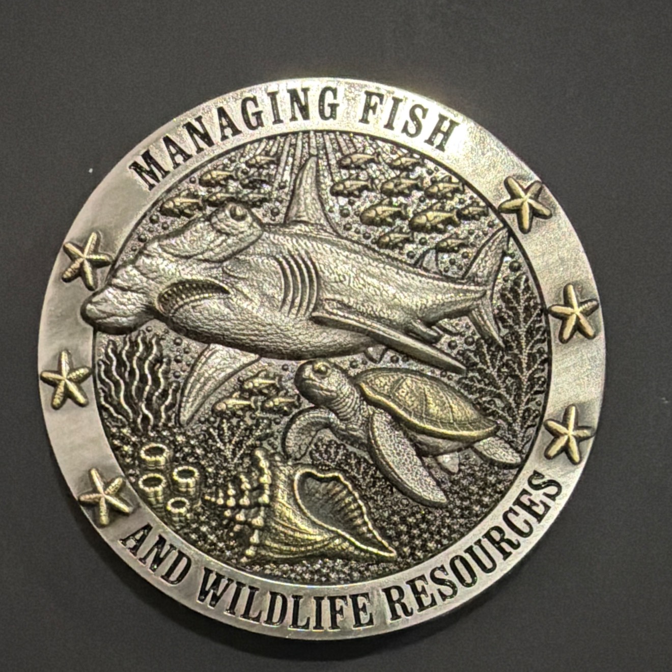 Managing Fish — front