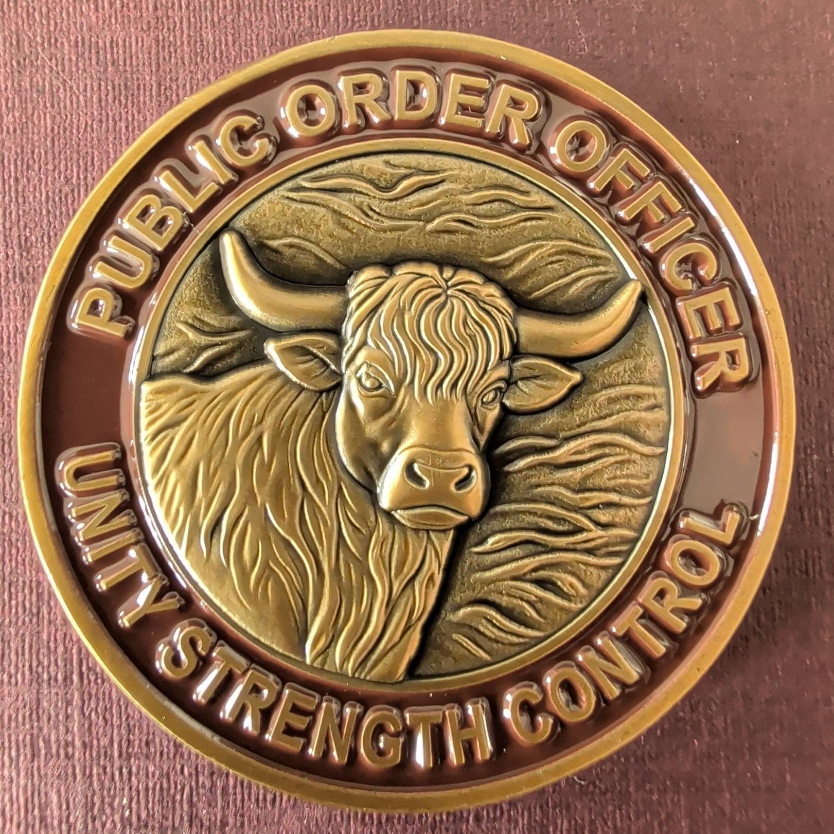 Public Order Officer — front