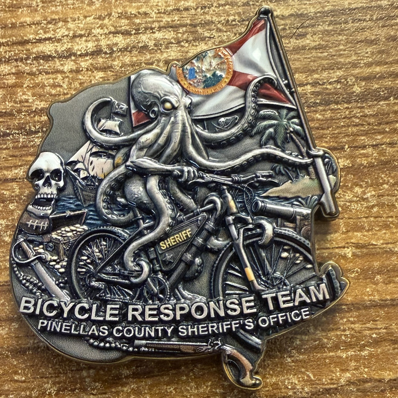 Pinellas County Sheriff’s Office Bicycle Response Team Gasparilla — back