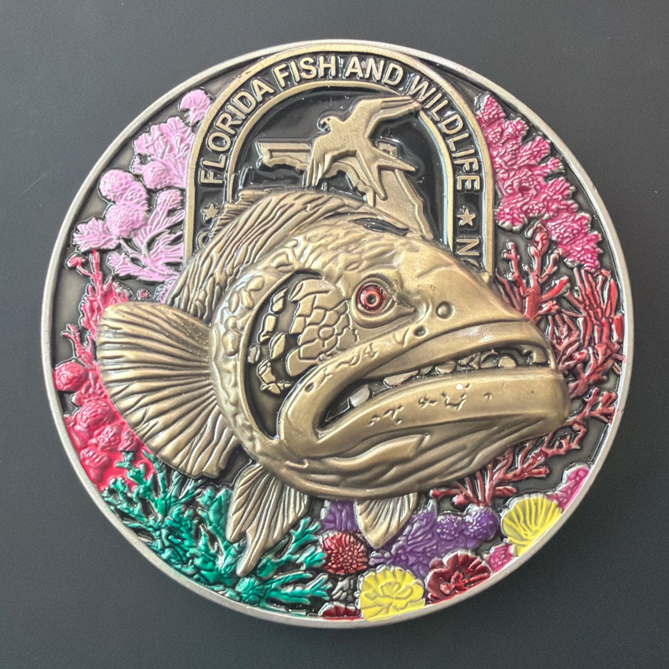 Grouper — front