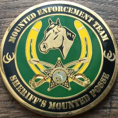 Hillsborough County Sheriff's Office Mounted Posse