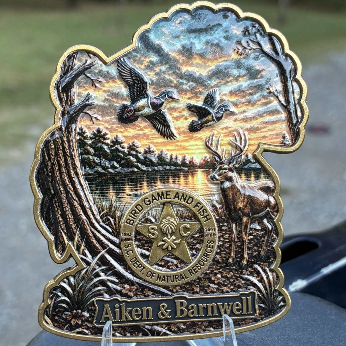 SCDNR TURKEY — back
