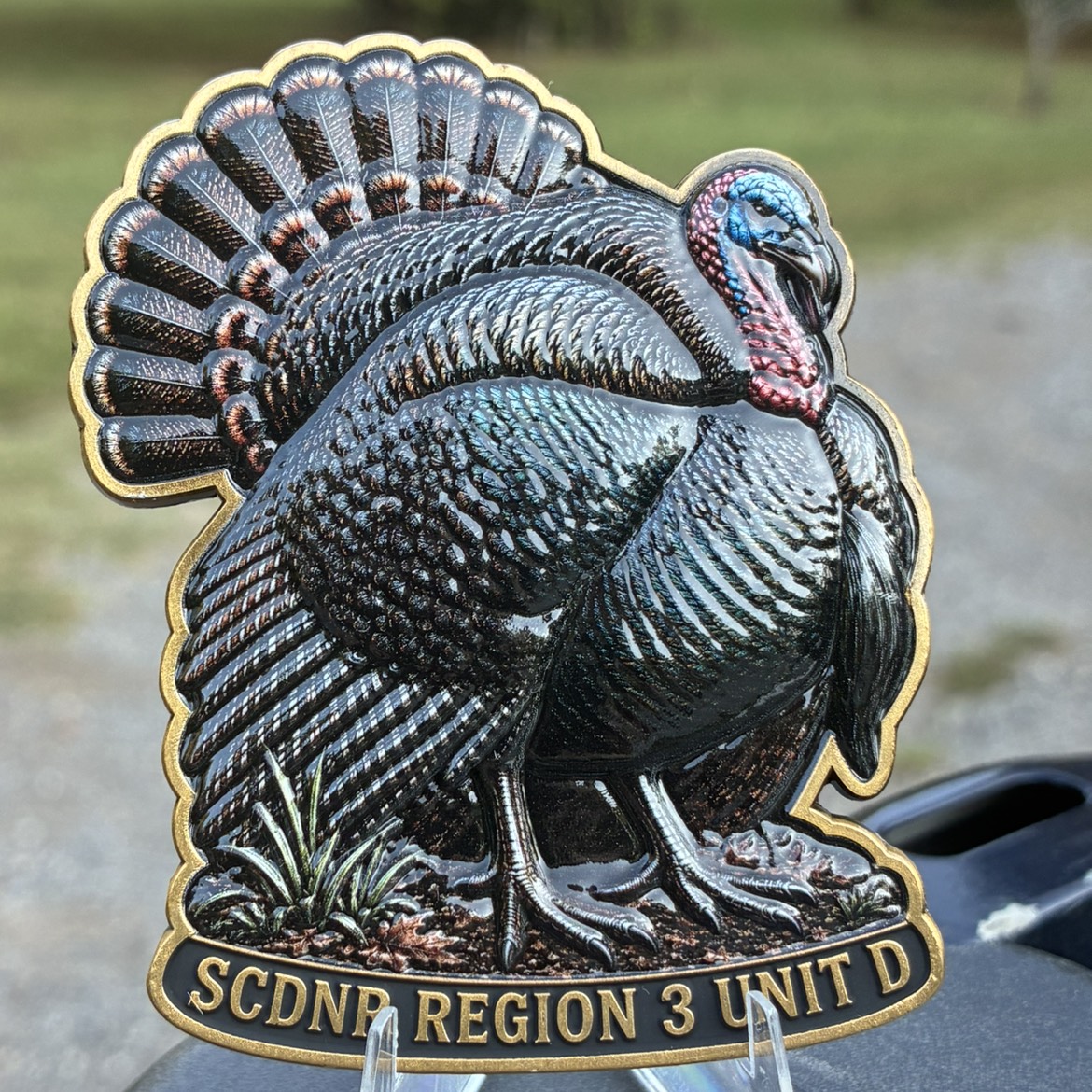 SCDNR TURKEY — front