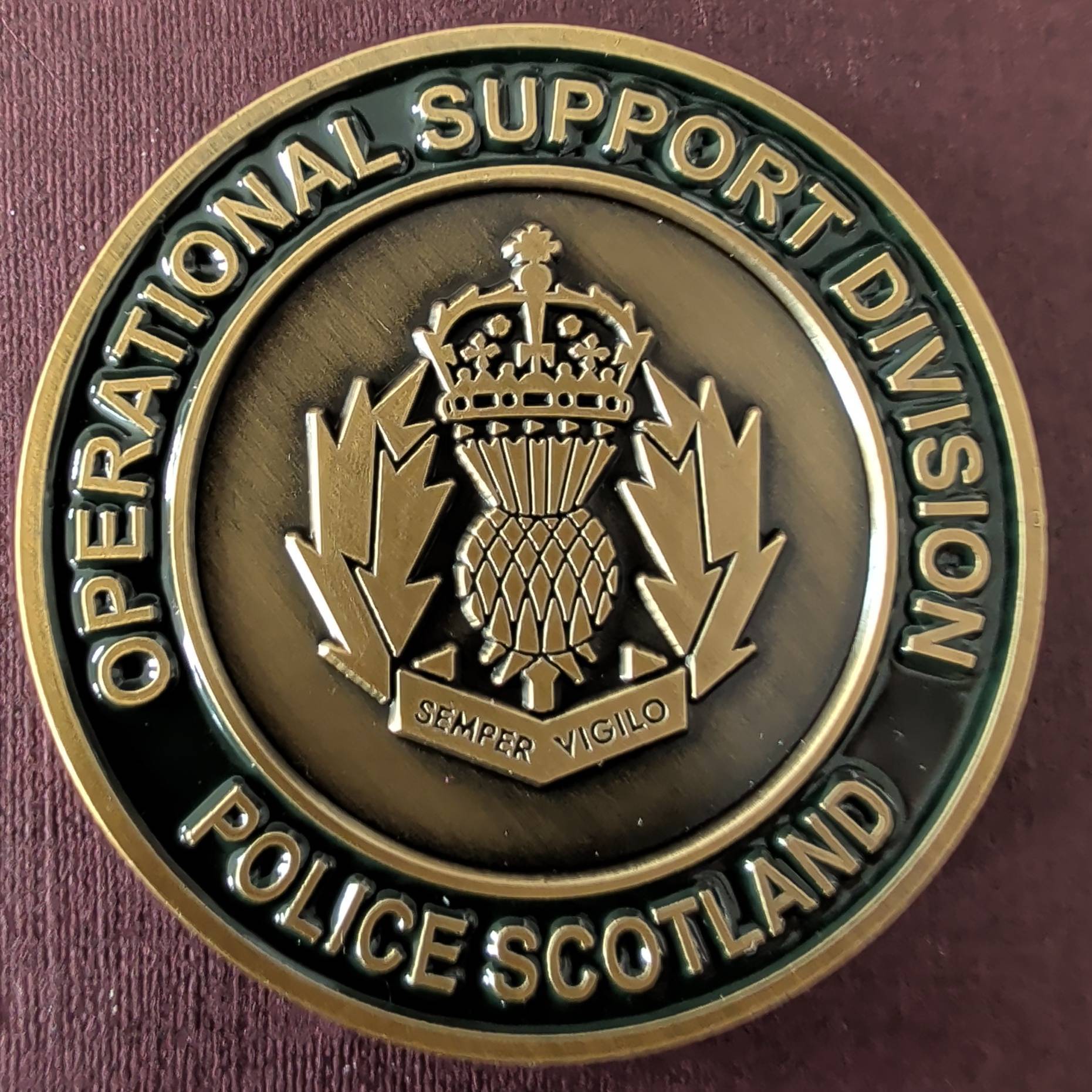 Licensed Search Officer (LSO) — back