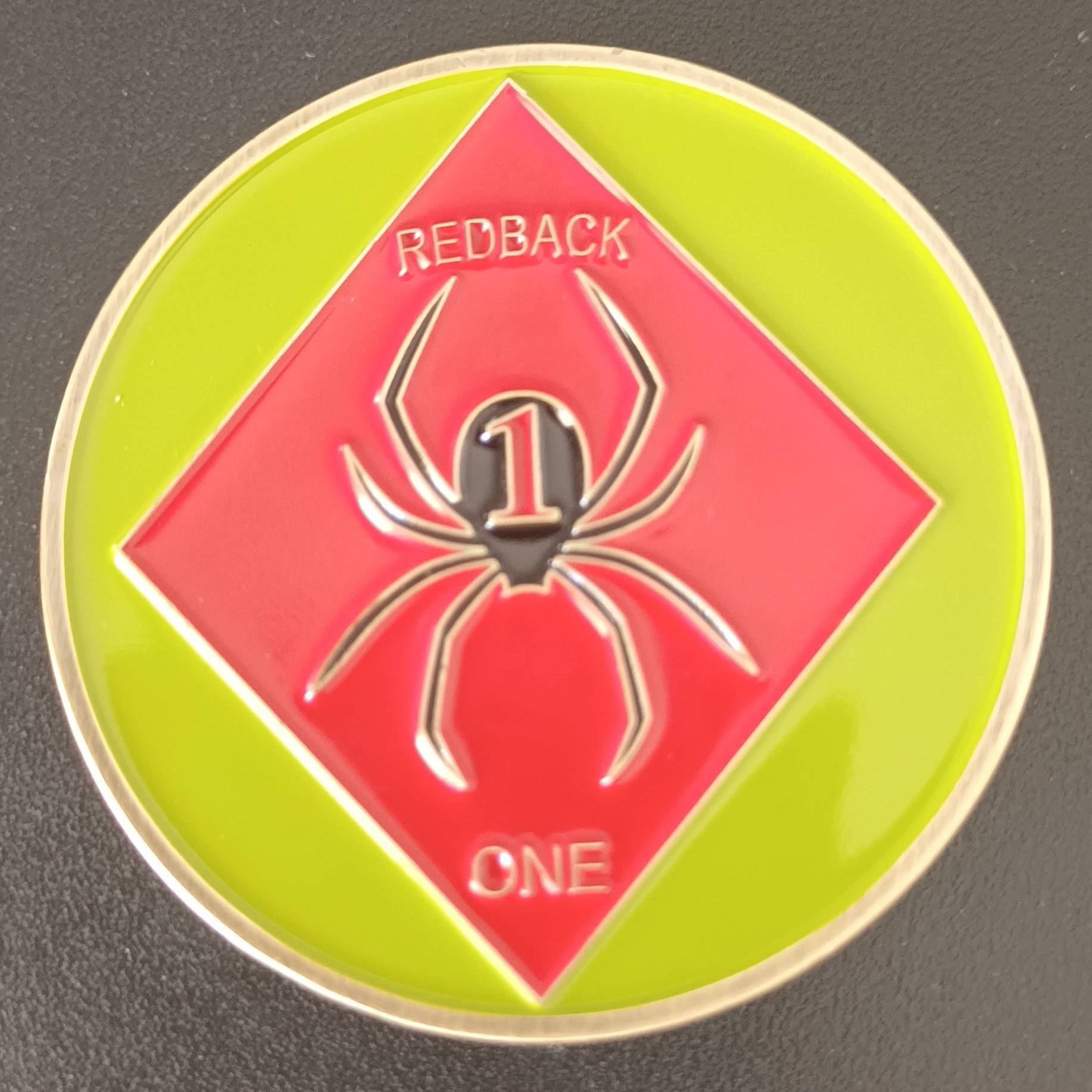 Redback One SASR 1 Squadron — front