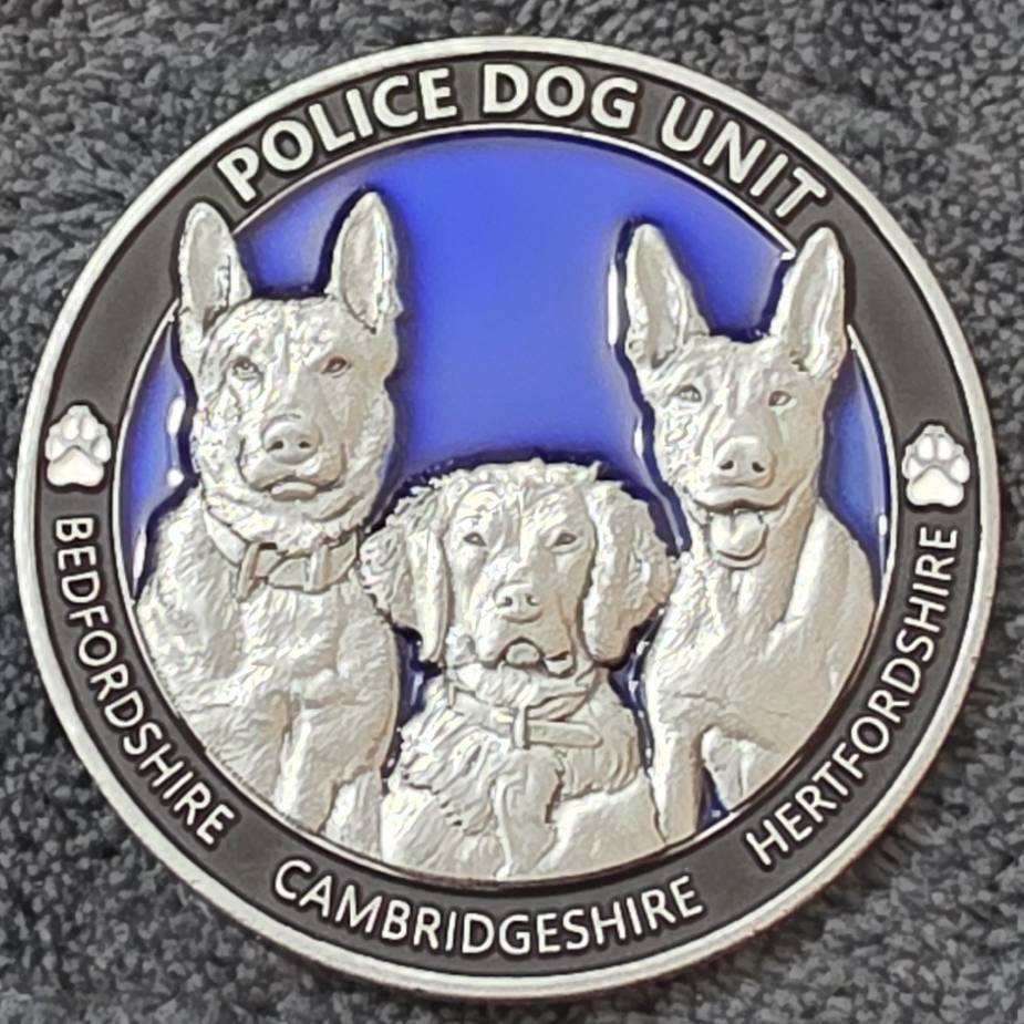 Tri Dog Unit — back