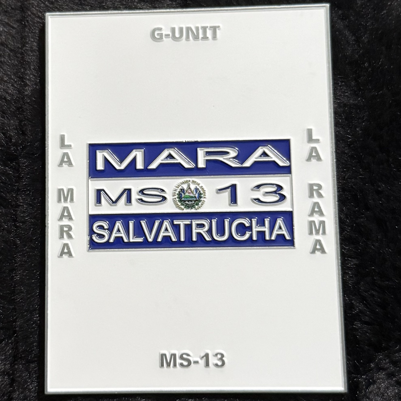 Worcester County Sheriff’s Office Gang Unit - MS-13 — back