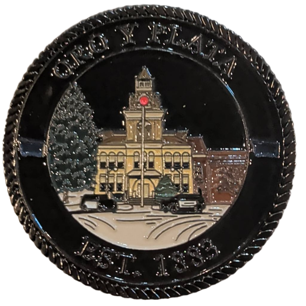 Dillon Police Department — back