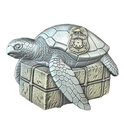 Cocaine Turtles Key West