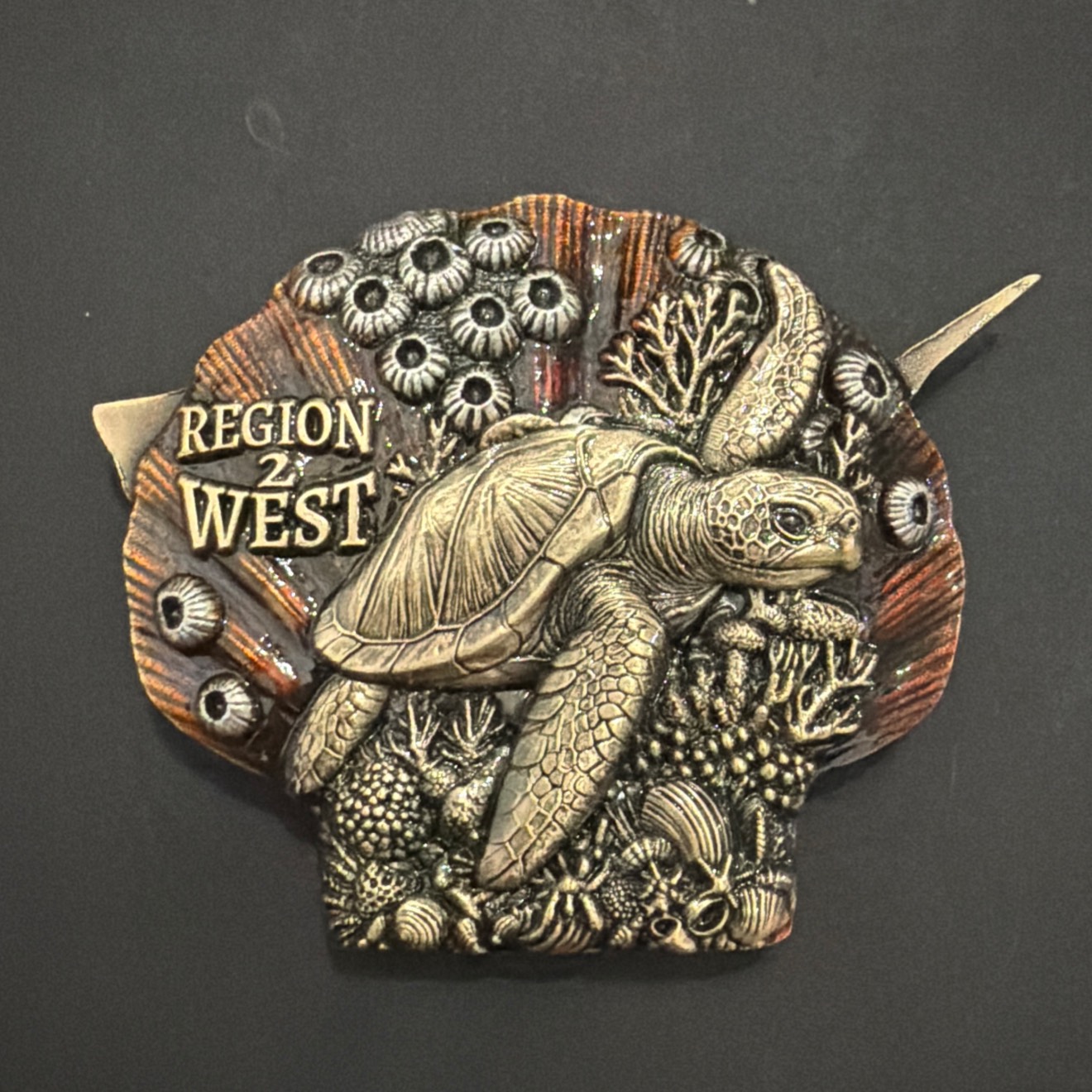 Region 2 West (2) — back
