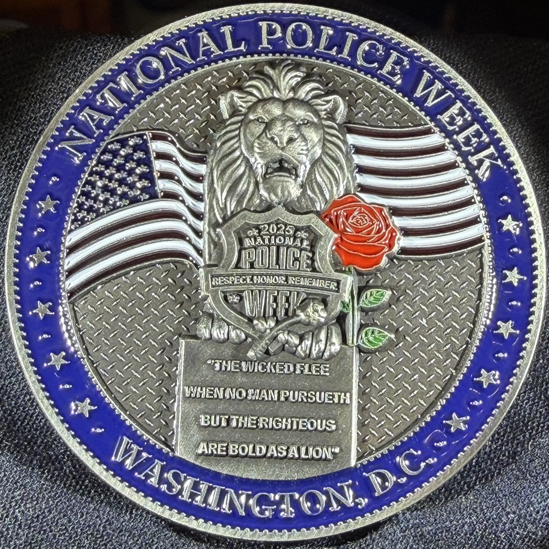 Police  - CHP — back
