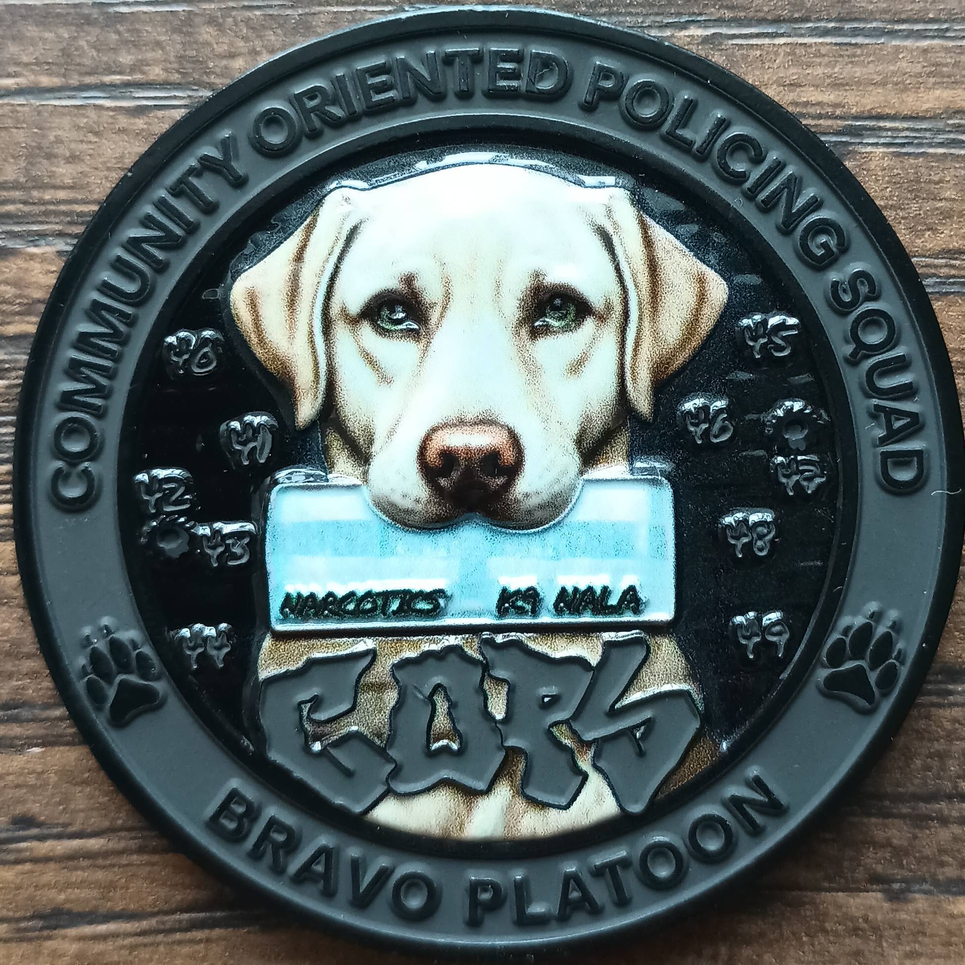 OCSO Sector 4 COPS (Blackout Variant) — back