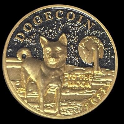 Doge Coin crypto currency wallet smart coin(R)