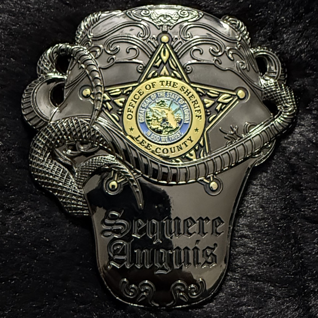 Lee County Sheriff’s Office Tactical Narcotics Team (Black / Gold Variant) — back