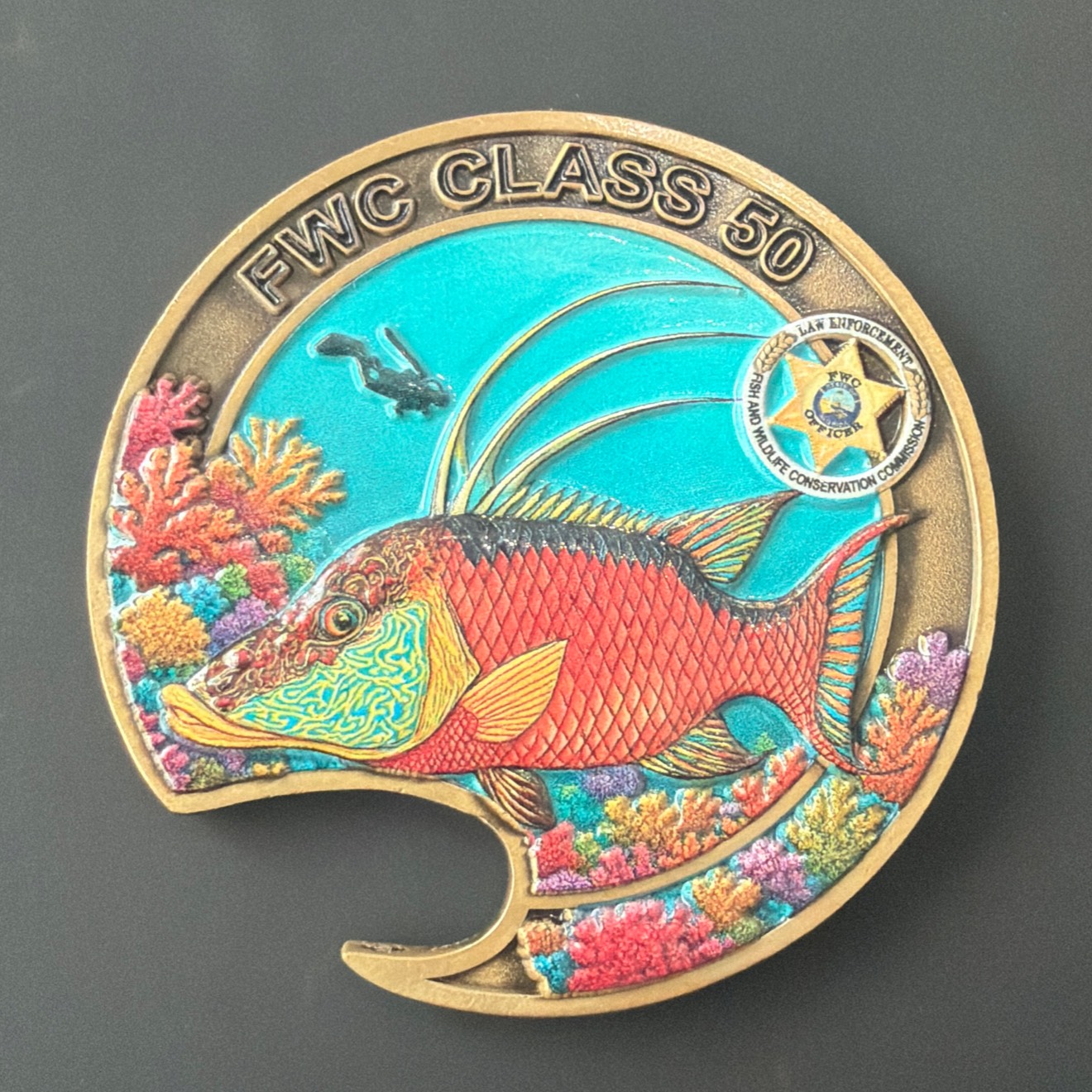 Hogfish - FWC Class 50 — front