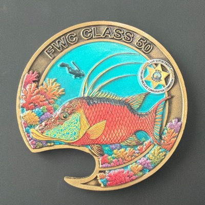 Hogfish - FWC Class 50