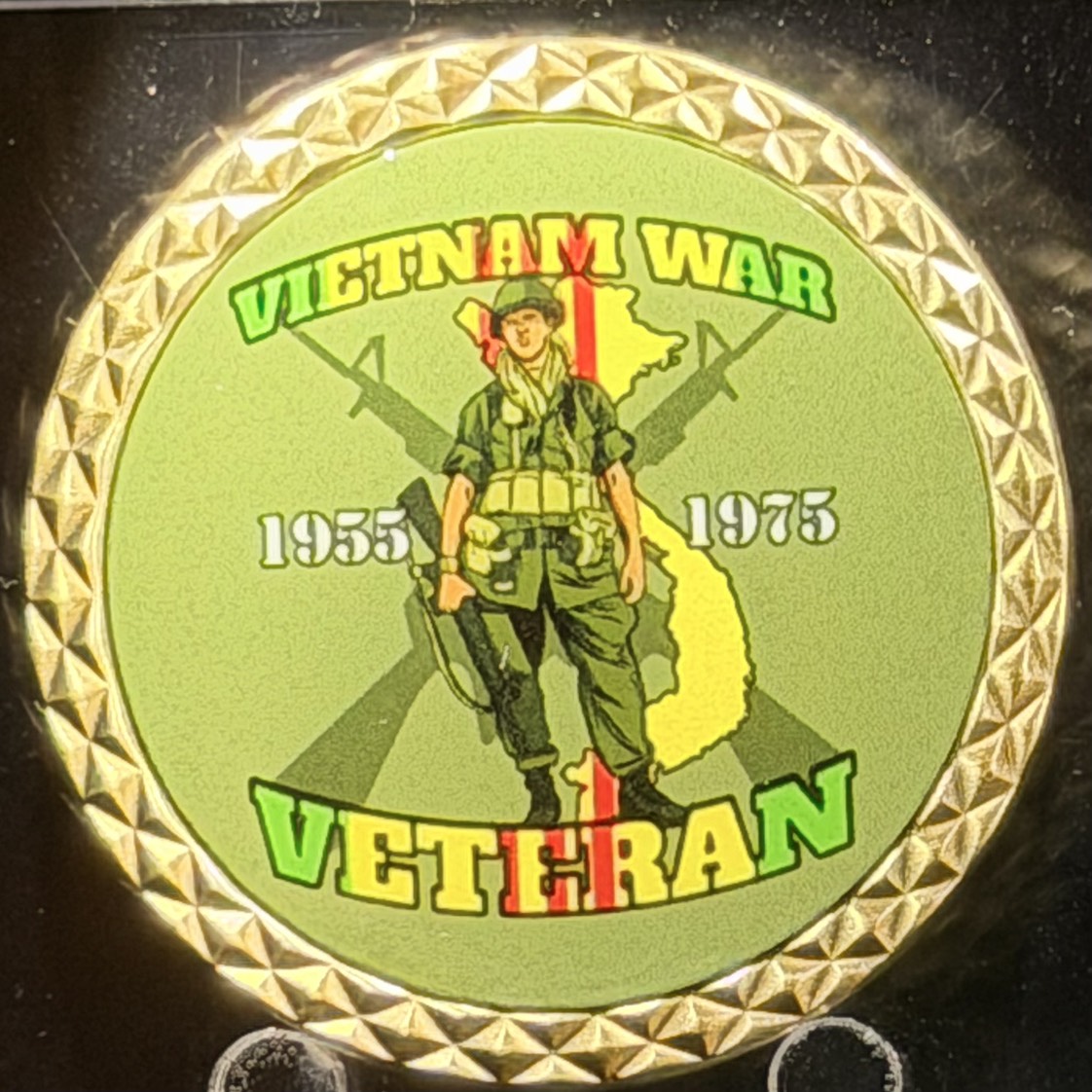 Vietnam Vet — back