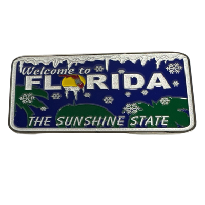 Welcome to Florida Snow