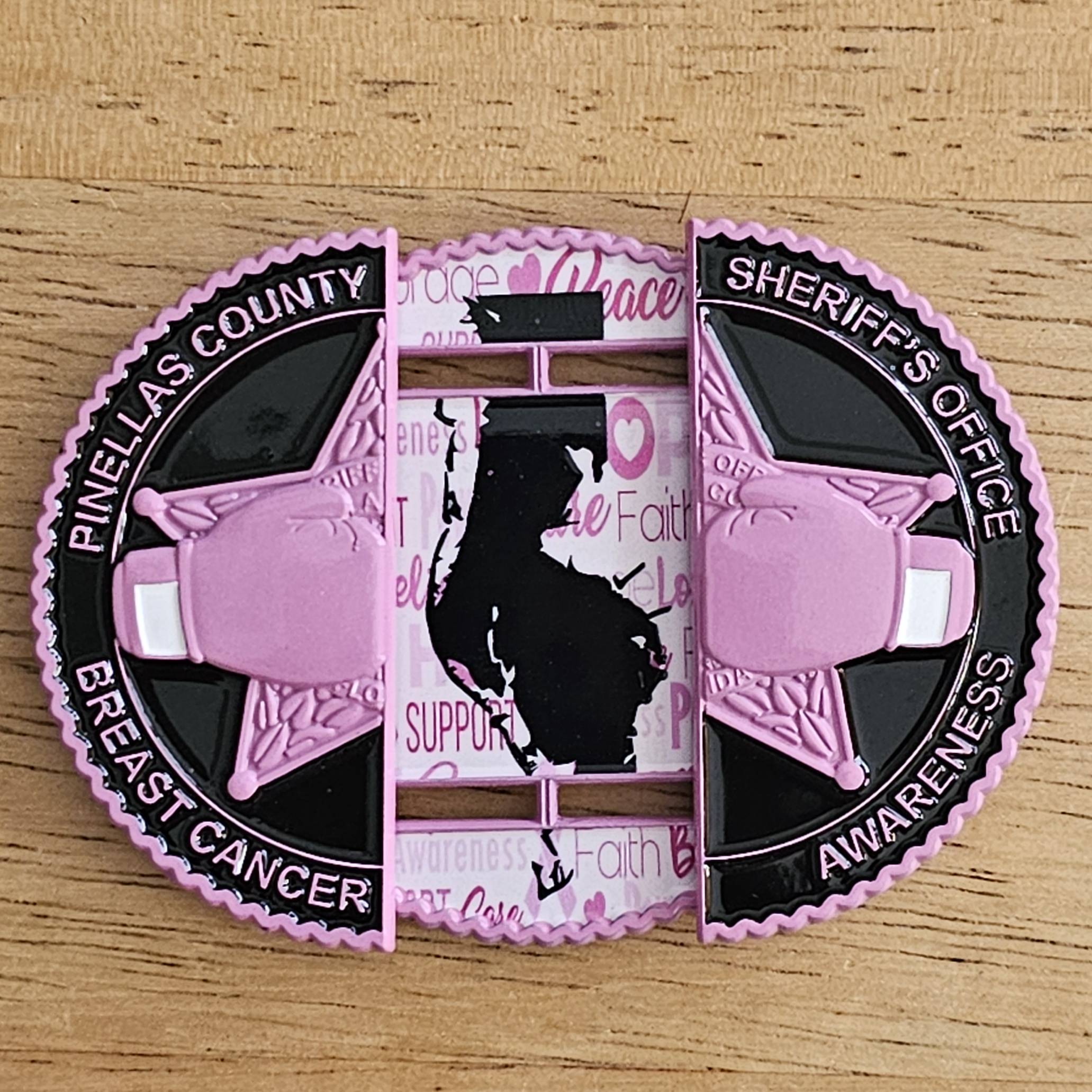 Pinellas County Sheriff's Office Breast Cancer Awareness — back