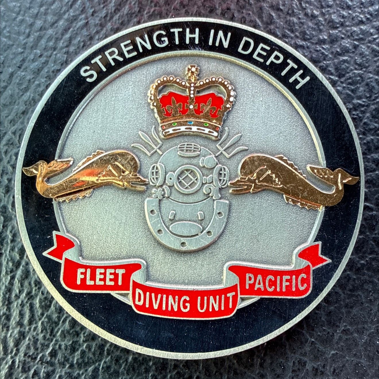 Fleet Diving Unit Pacific — back