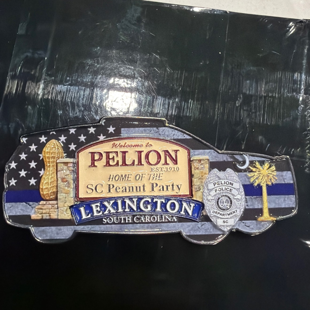 Town of Pelion Police Car — back