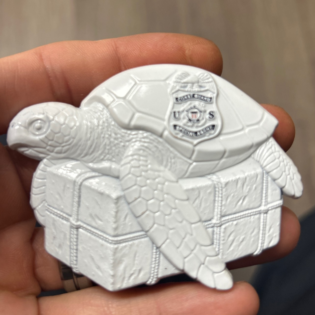 Cocaine turtles key west Florida — back