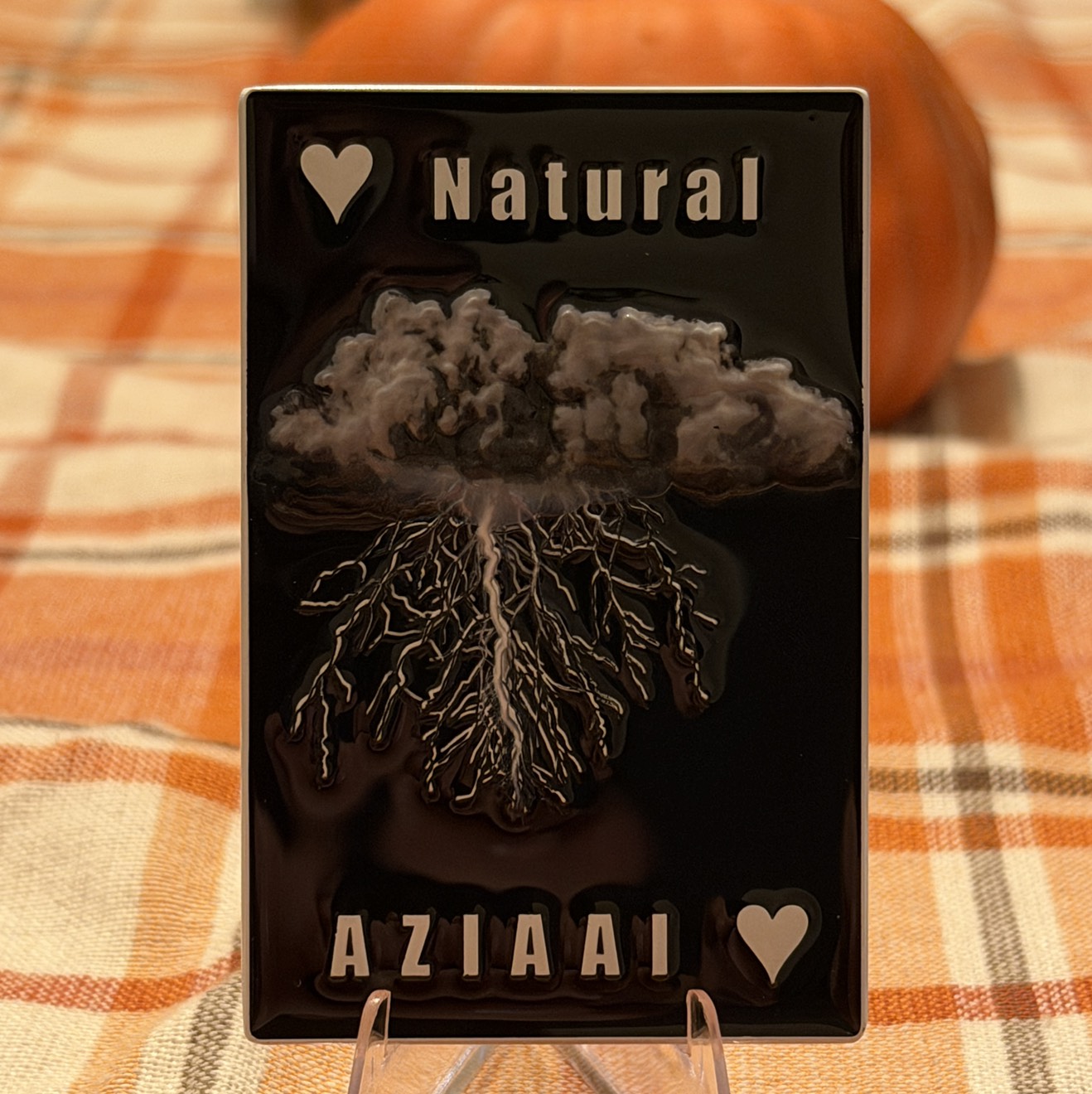 Arizona Chapter IAAI Playing Card — back