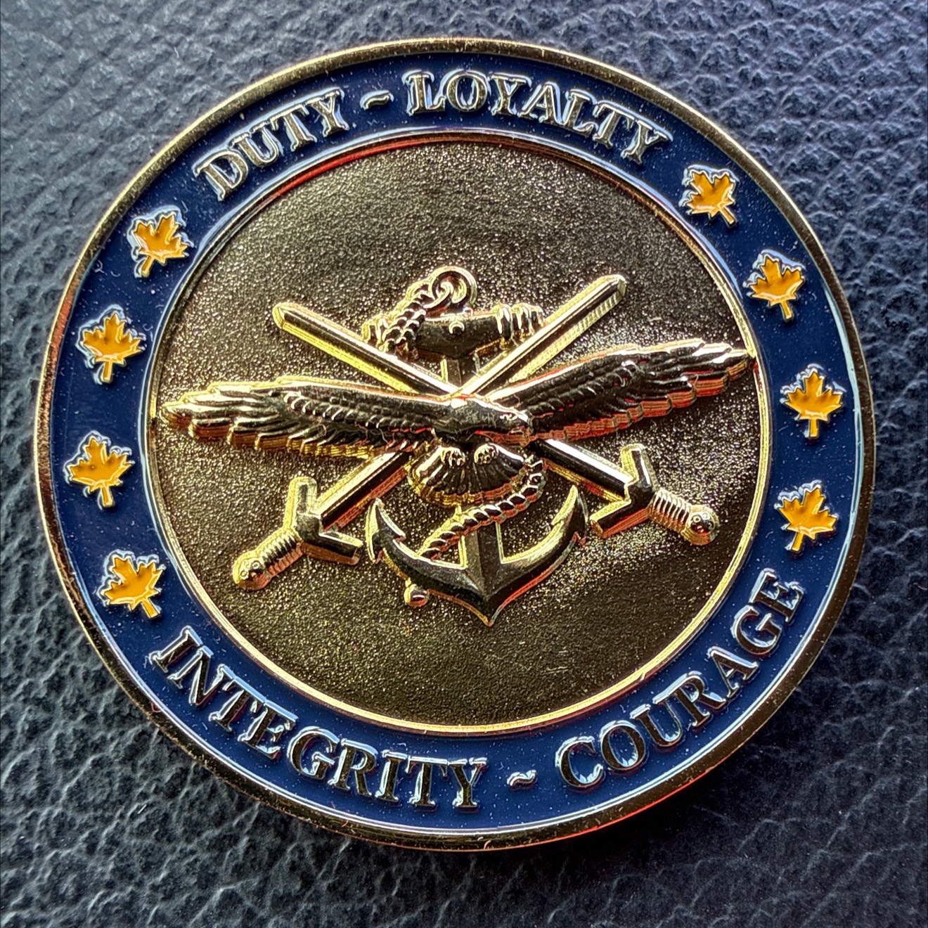 Canadian Armed Forces Veteran — back