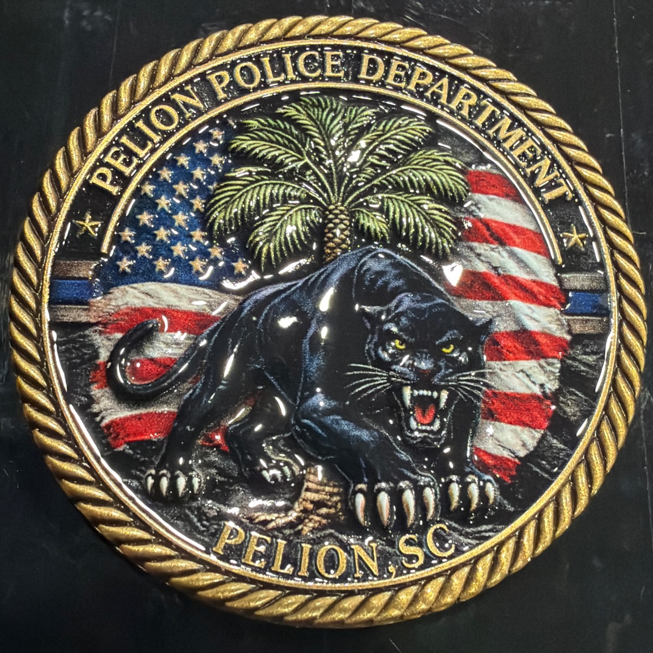 Town of Pelion Police Department — back
