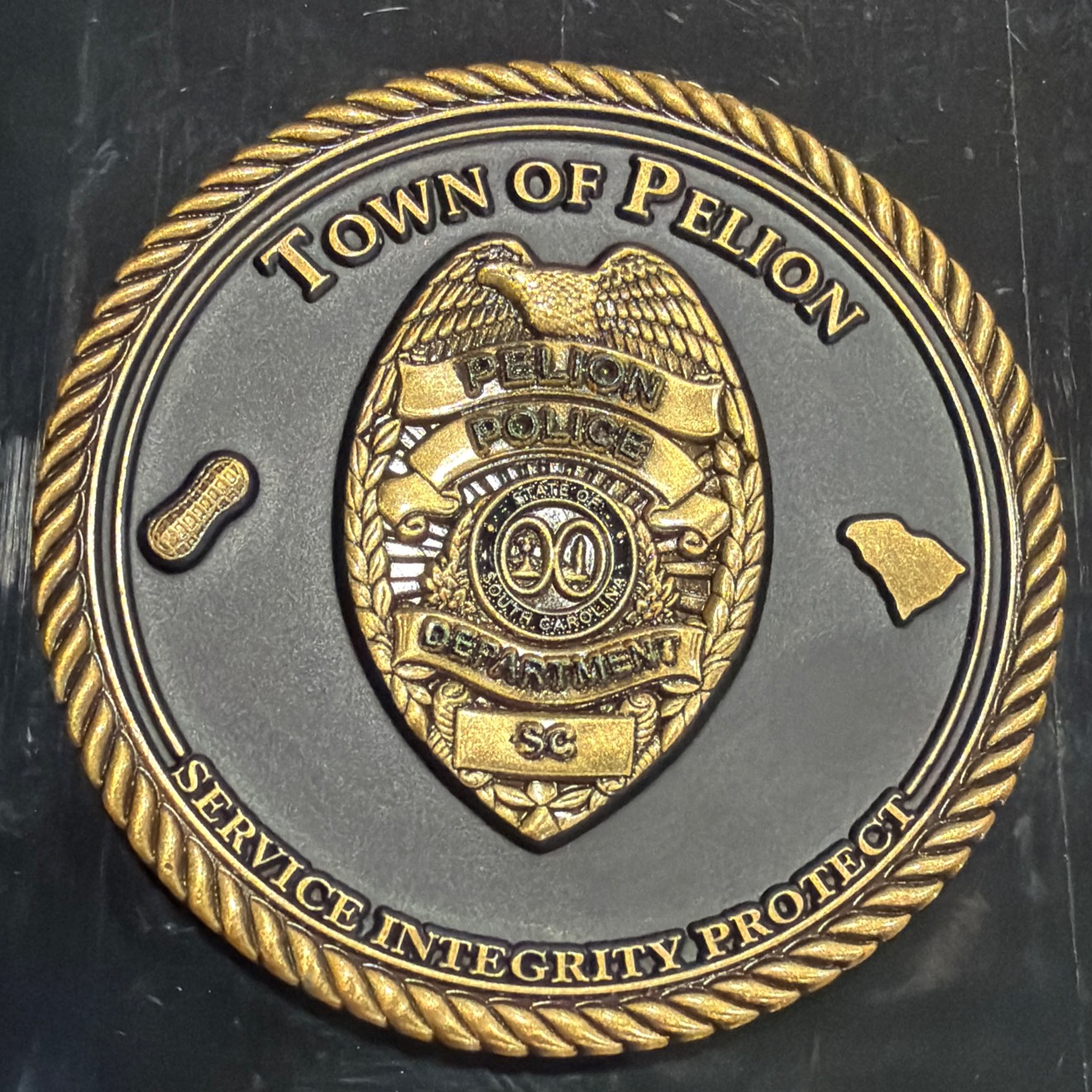 Town of Pelion Police Department — front