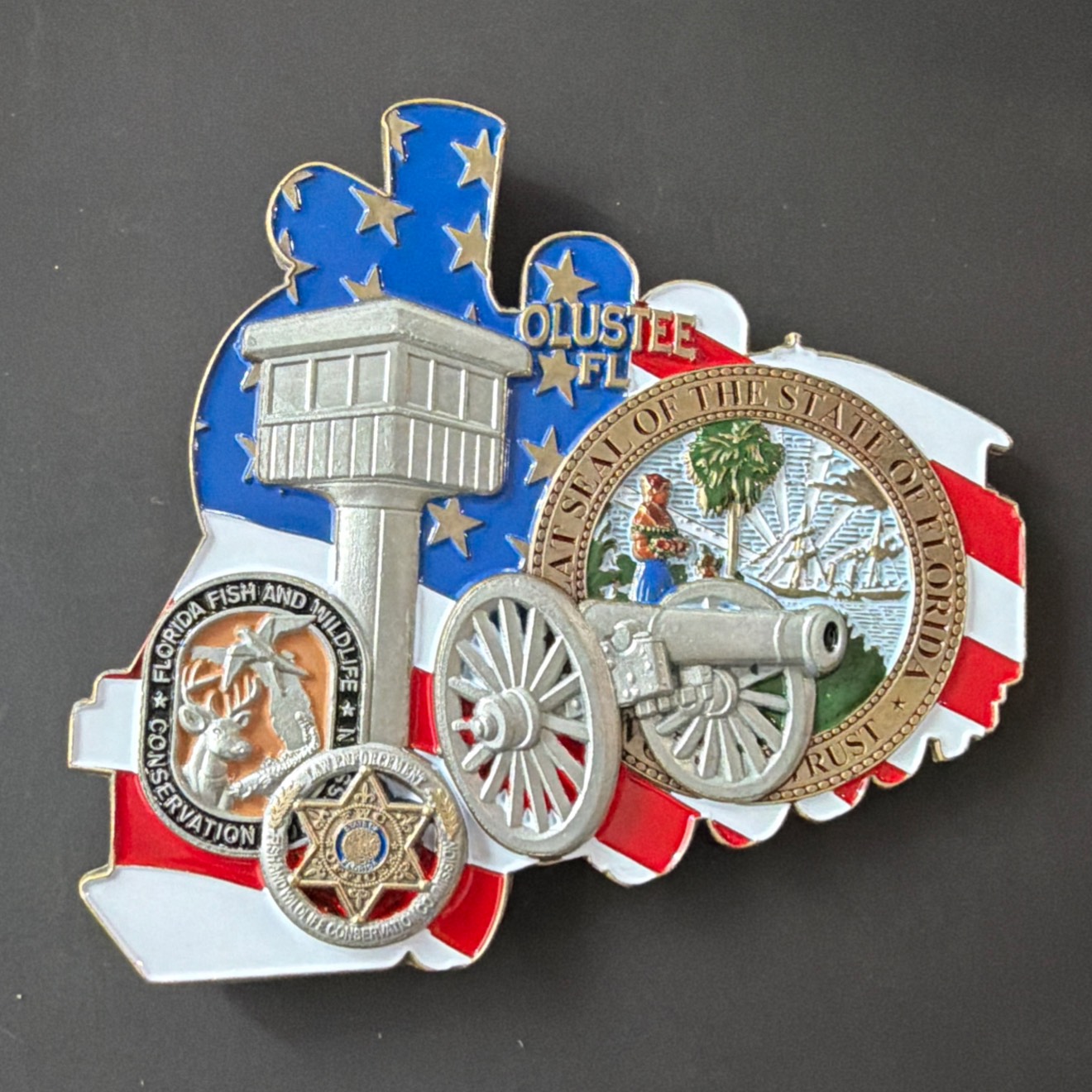 FWC Train — back