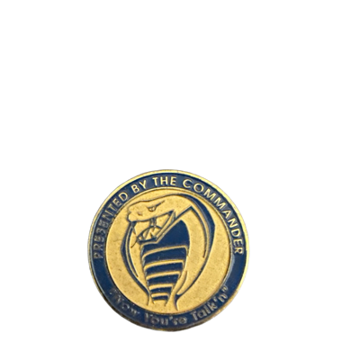 355th CS commander coin