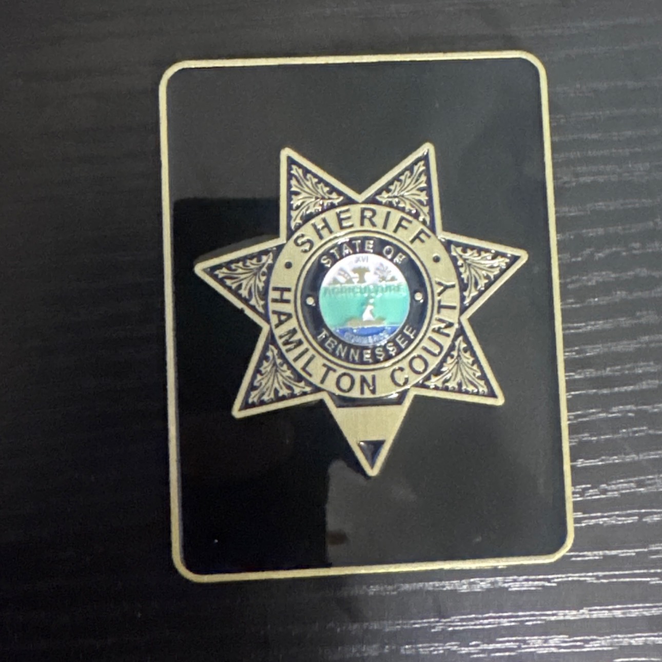 Hamilton County Sheriffs Office  Narcotics — back