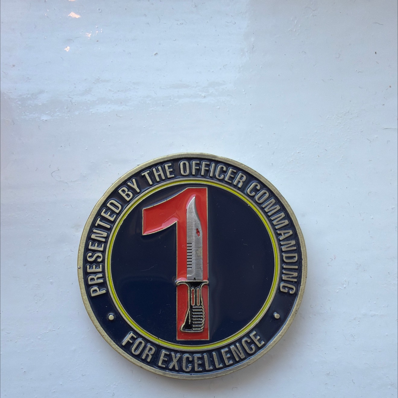 1 Sqn Commanders coin — front