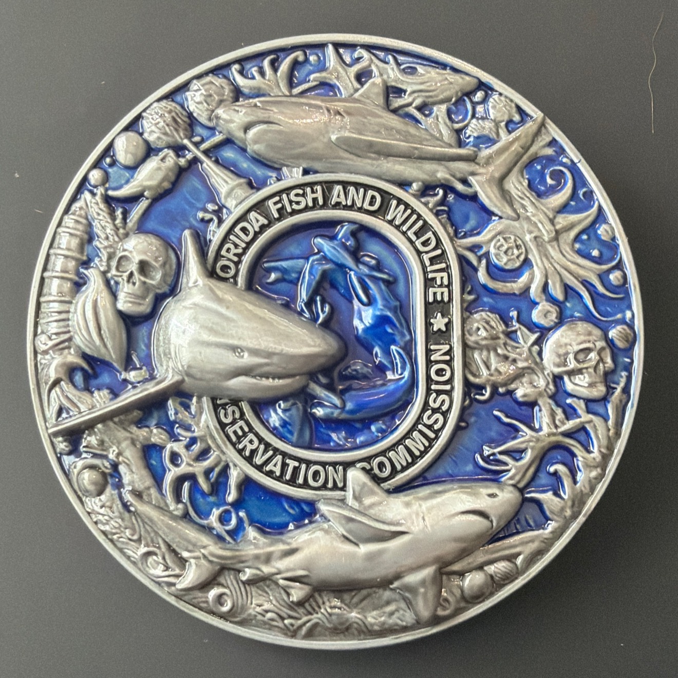 CGRT Shark — front