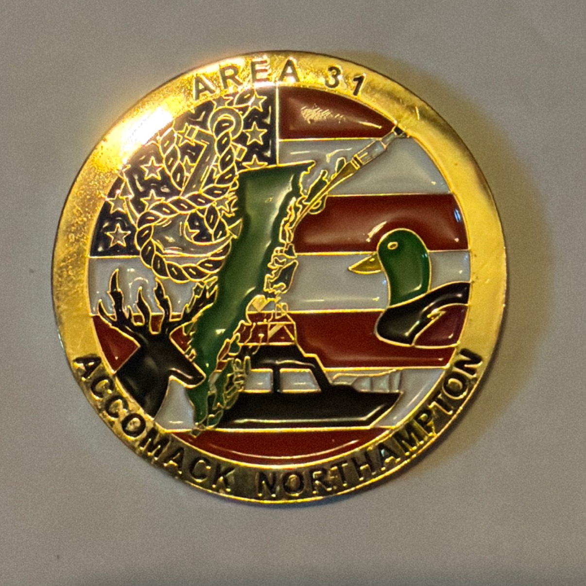 D5 A31 — back